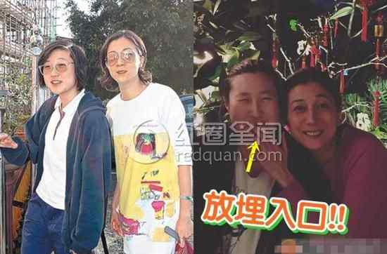 吴绮莉与成龙 吴绮莉和成龙怎么回事 成龙为什么恨吴绮莉