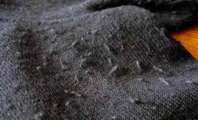 衣服掉毛严重怎么解决 毛衣缩水起球？扎人掉毛？简单一招，瞬间解决！
