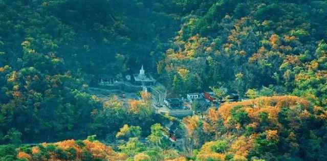 辽宁盘锦新闻 辽宁第三大城市角逐：鞍山、盘锦和营口，谁会成为最终的胜利者？