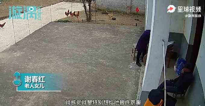 四个远嫁女儿就地过年 监控里父母画面令人心酸