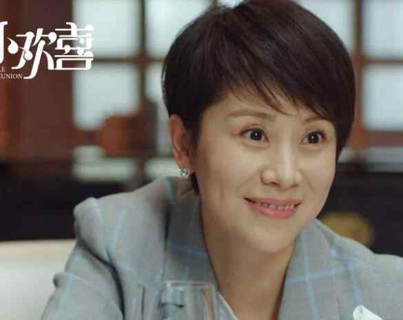 小别离电视剧 电视剧小欢喜和小别离有关系吗 黄磊海清再搭档令人期待