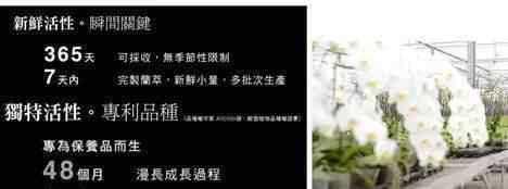 黄金时刻 3大黄金时刻，决定你能赚多少钱