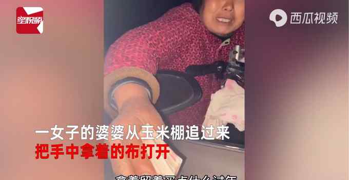 婆婆半夜从玉米棚追来 将一年卖玉米的钱塞给儿媳妇过年 引网友泪目
