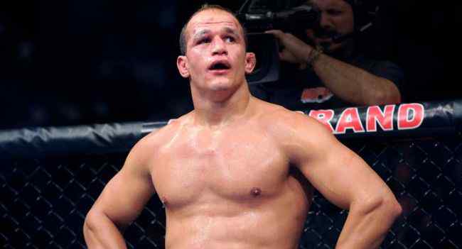 ufc世界排名 MMA十大热门拳击手 里科欧·范霍文位居第一文章配图