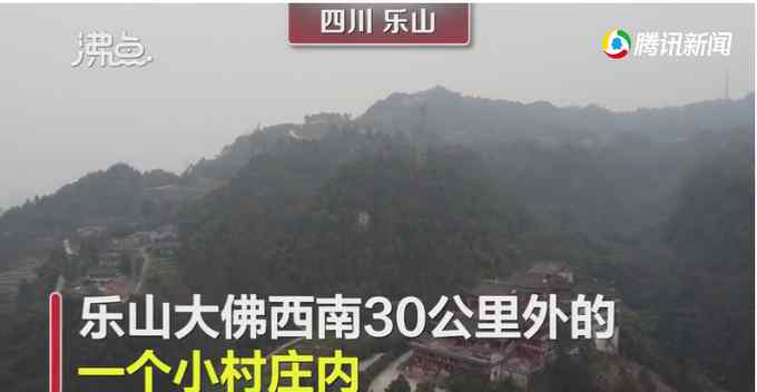 四川偏僻山村现乐山大佛孪生兄弟 当地政府：无文物价值