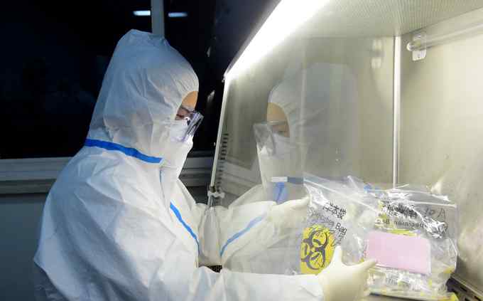 再降价！河北核酸10人混检下调至20元
