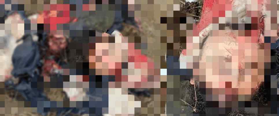 酋长国 小卡德罗夫指挥，“高加索酋长国埃米尔”被打死，车臣叛军遭重创