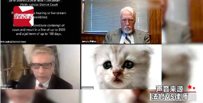 “我不是猫啦” 律师开着猫头滤镜上庭不会关 笑翻网友