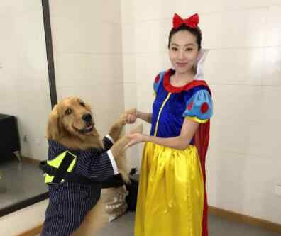 鄂博 鄂博为什么改名叫鄂靖文 鄂靖文这个名字有什么寓意