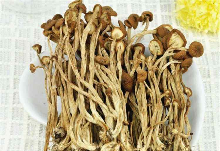 补血补气的食物 市场常见的3种食物，平时常吃些，补血益气，滋补身体