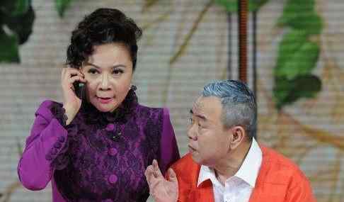 连登仔是什么意思 连登27年春晚“钉子户”，60岁小品女王再战，网友直呼不想看