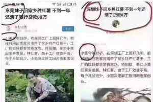 很多人在说谎话 他们在说谎 我们也知道 但他们仍在继续说谎