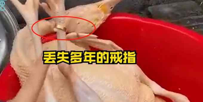 谁能想到？女子过年杀鸡竟找到丢失多年金戒指 戴在“鸡脚”上还挺合适！