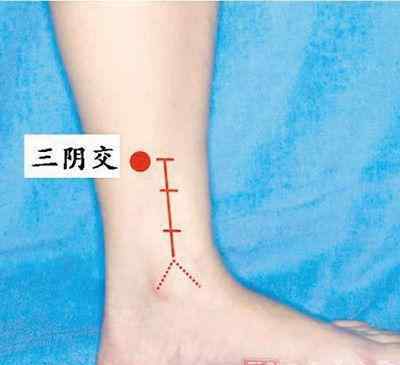 百会部位图 人体穴位图 按摩5个部位治百病