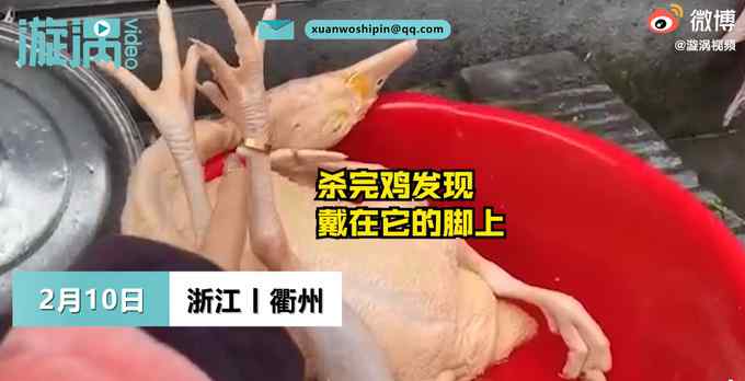 妈妈金戒指丢失多年 女儿过年杀鸡拔毛后一幕让全家尖叫出声！