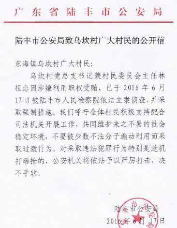 乌坎村 广东乌坎村党总支书记林祖恋被查,警方告诫村民不要打砸抢