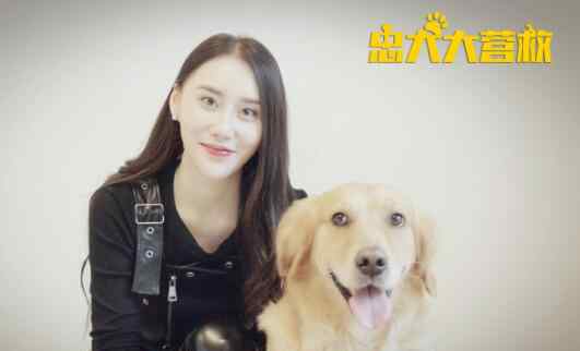 忠犬大营救 电影忠犬大营救评价怎么样 一场为了拯救狗狗展开的冒险