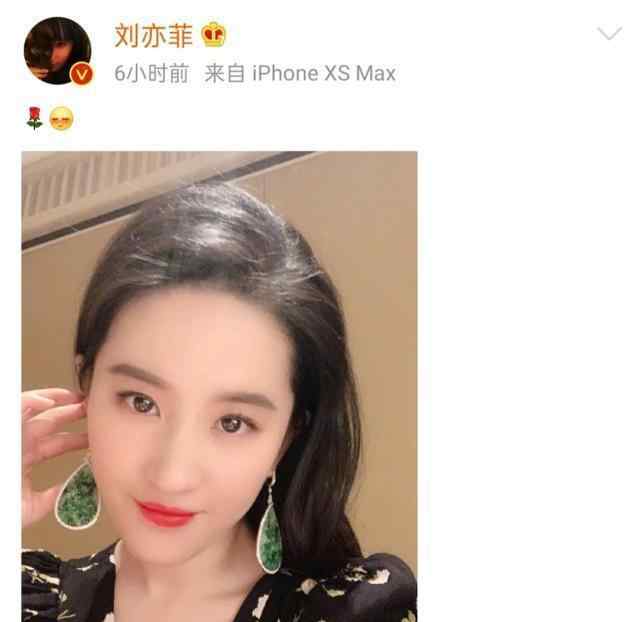 翡翠姐姐 神仙姐姐刘亦菲，名贵翡翠大耳环抢眼，却被嘲炫富耳环像玻璃渣？