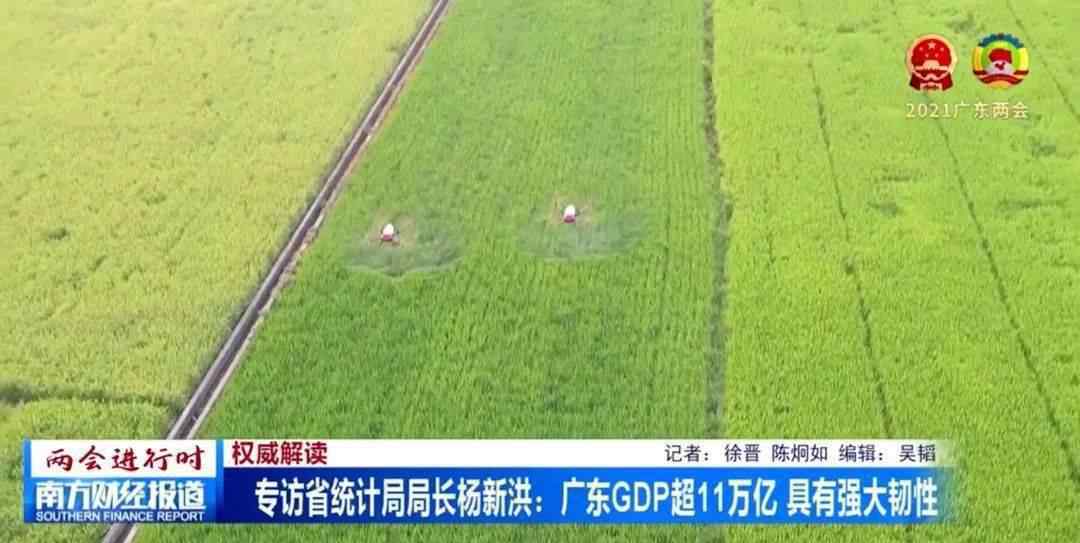 广东统计信息网 专访省统计局局长杨新洪：广东GDP超11万亿 具有强大韧性