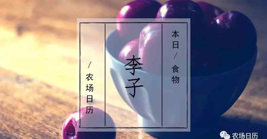 农历二月三十 【农场日历】农历二月三十 宜出行文章配图
