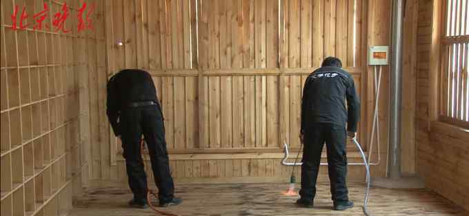 北京信鸽公棚 北京园博园新建信鸽公棚可供寄养 有专业人员培训清理