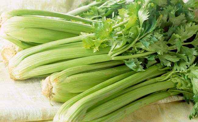 芹菜怎么保存 芹菜冷库工程 芹菜在冷库中如何储存？