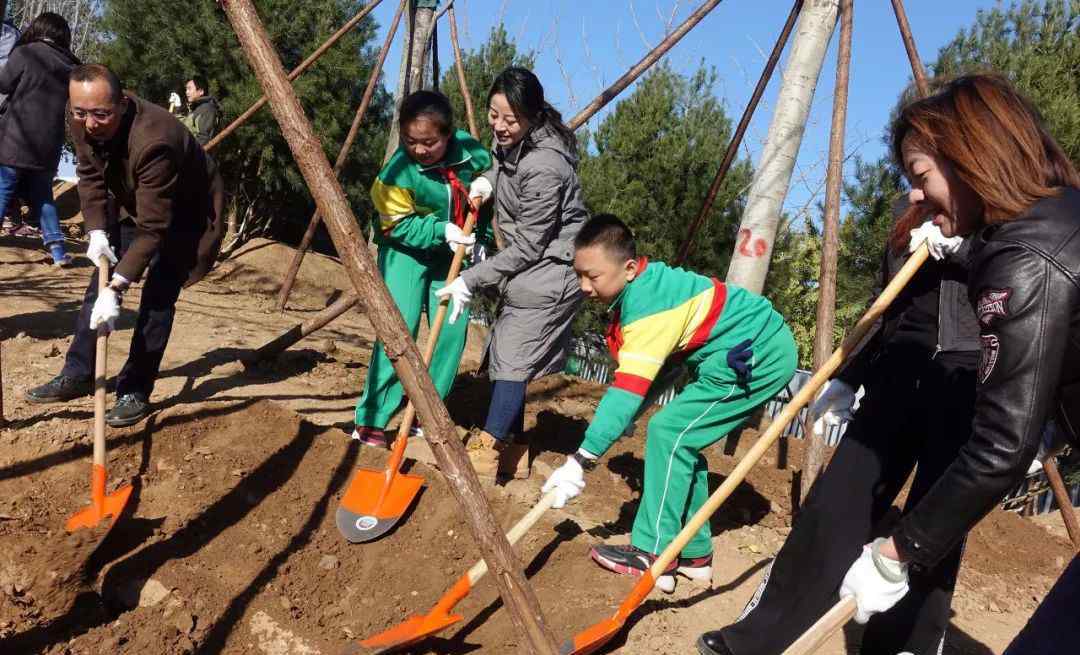 北京植树活动 今天是植树节！北京18处义务植树活动接待点公布啦