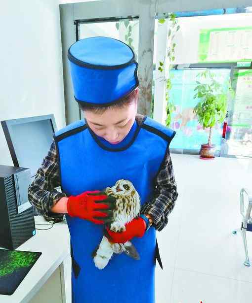 秃鹫吃人全过程 走近神秘猛禽守护者：“鸟大夫”全国仅十几位 为何必须力气大？