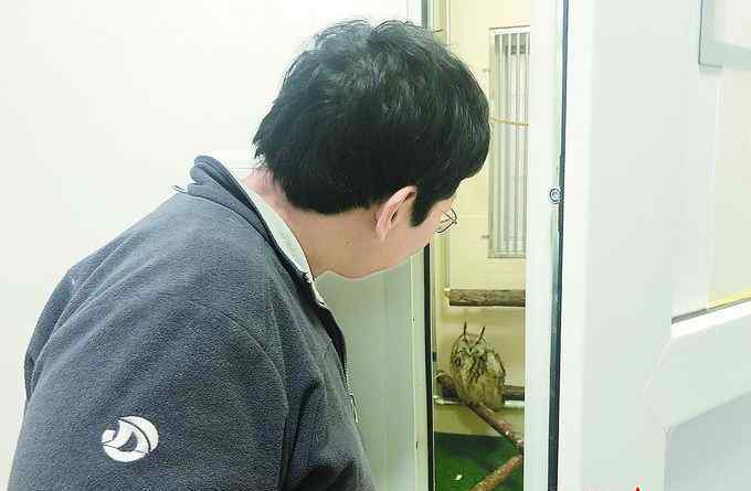 秃鹫吃人全过程 走近神秘猛禽守护者：“鸟大夫”全国仅十几位 为何必须力气大？