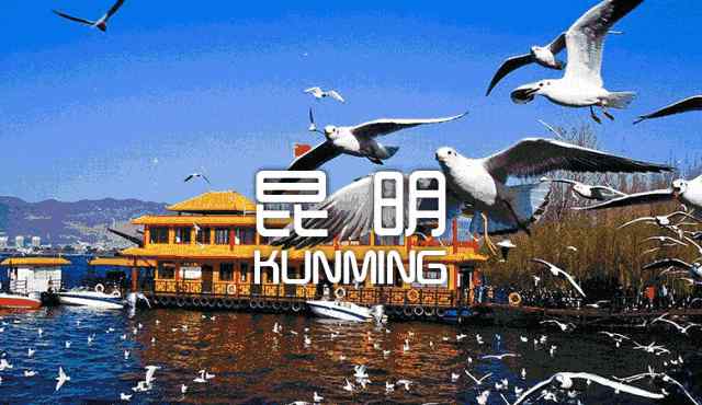 昆明旅行社哪家好 昆明5月旅游红黑榜发布 10家旅行社上黑榜