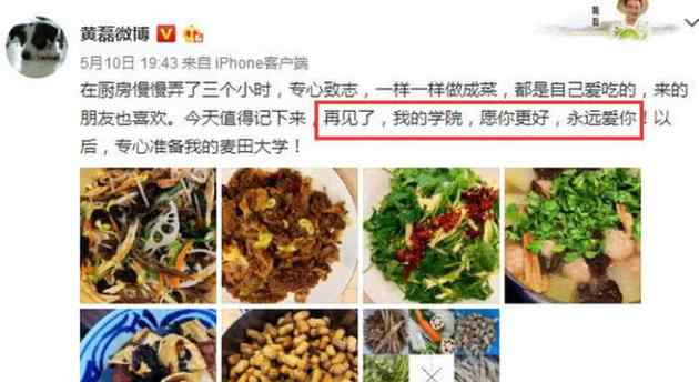 麦田大学 黄磊从北京电影学院辞职，称要专心准备麦田大学，得经纪人证实