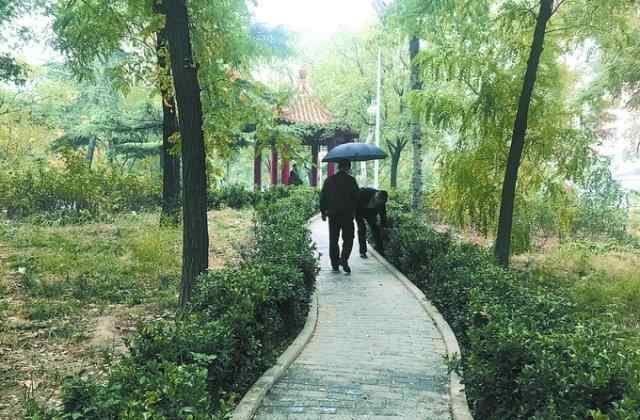 东花市小区 北京东花市街道6600多条需求被88家单位认领，将惠及2.6万人