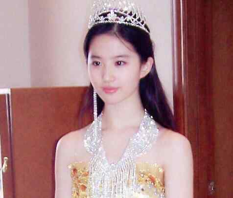 金鹰女神2014投票 金鹰女神在哪投票