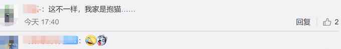全家抱娃来催婚 娃不够狗来凑！女儿：妈妈说没有孩子抱 只能抱狗