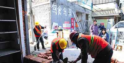 官园花鸟鱼虫市场 北京西城区官园花鸟鱼虫市场违建拆除
