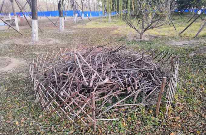本杰士堆 环保建材、生态大宅！这些公园装饰物竟是北京野生动物“安居房”