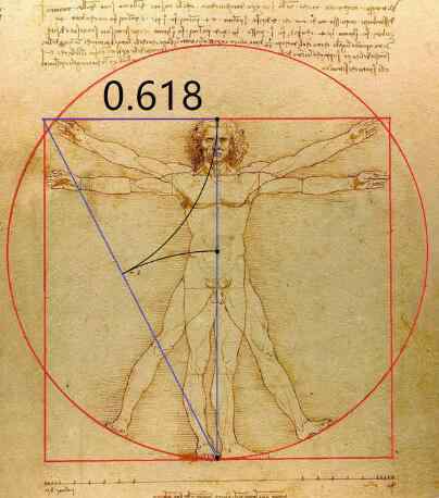 达芬奇的维特鲁威人三大秘密,天文、星座、人体（人体图震惊世界