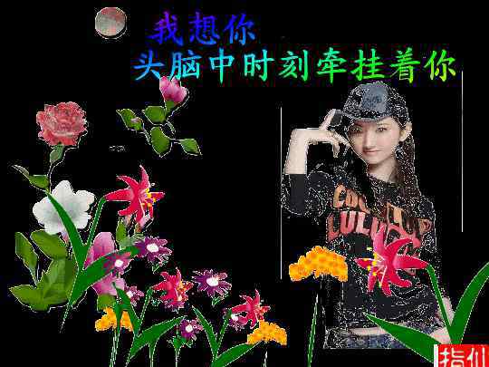 ztjs 我的录音