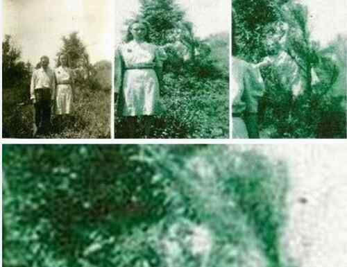 一张照片吓死3000人恐怖在哪里 世界十大诡异图片有哪些灵异