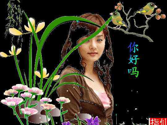 ztjs 我的录音