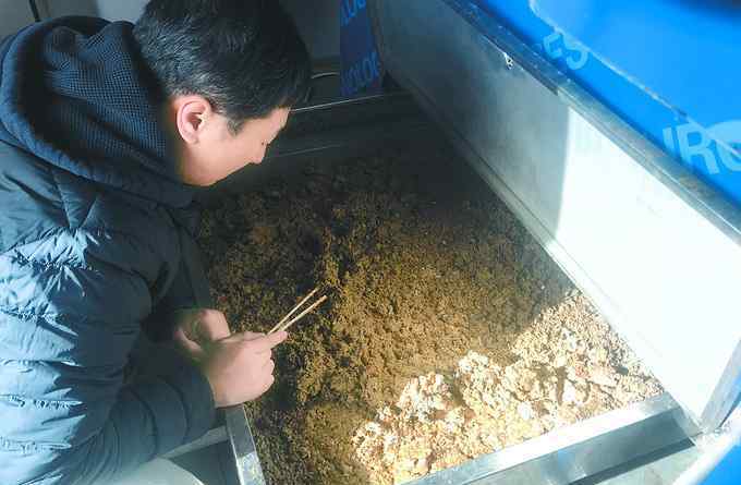 北京西山庭院 海淀西山庭院小区养水虻和蚯蚓，试行近一年，厨余垃圾就地减量四成