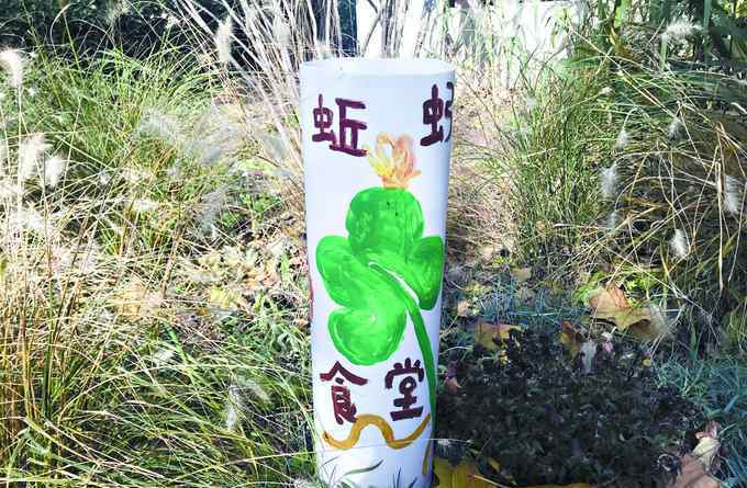 北京西山庭院 海淀西山庭院小区养水虻和蚯蚓，试行近一年，厨余垃圾就地减量四成