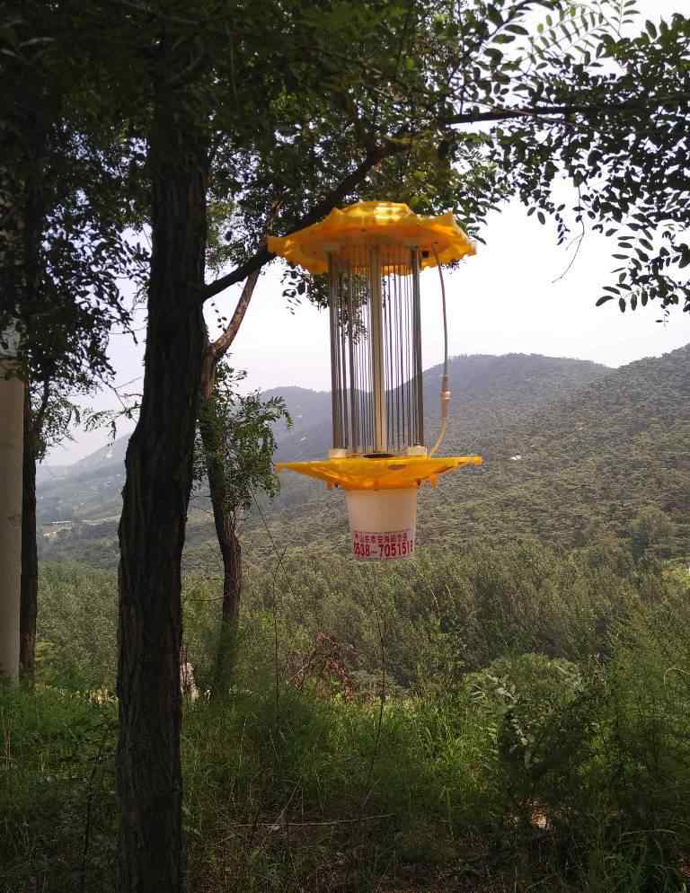 太阳能杀虫灯 太阳能杀虫灯的作用