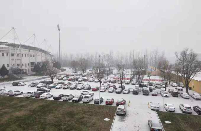 北京延庆下雪 北京下雪了！延庆、房山开始飘雪，地面见白