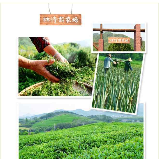 林清轩怎么样 林清轩如何靠一瓶山茶花油开出400多家门店？