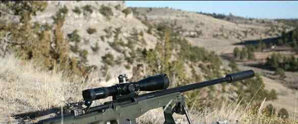 世界上威力最大的狙击枪：L115A3、CheyTacM200、AS50狙击步枪