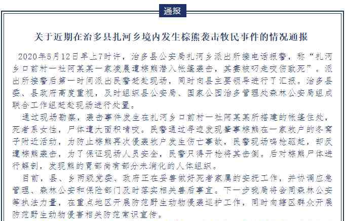 人熊 熊为何近期接连伤人？居民该如何防范？专家支招：装死没用