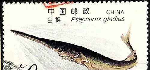 因为人类而灭绝的十种动物 因人类灭绝的动物有哪些
