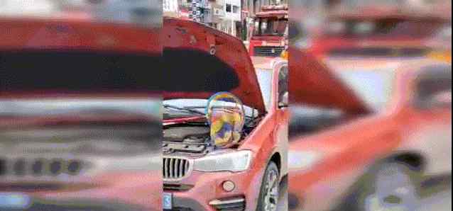 2米长黑蛇＂搭车＂进市区 车主毫无察觉!