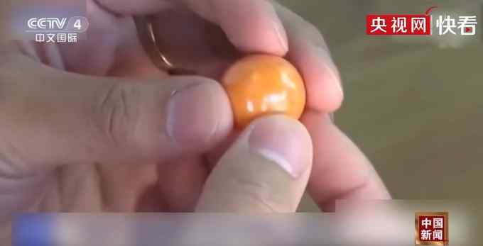 泰国司机海螺里吃出“龙珠” 价值百万！网友：集齐七颗能召唤神龙不？